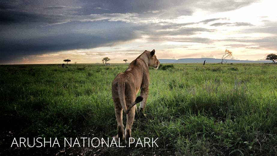 Arusha National Park: Facts, Features and More