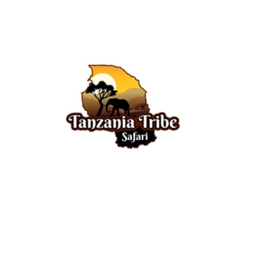 Tanzania Tribe Safari