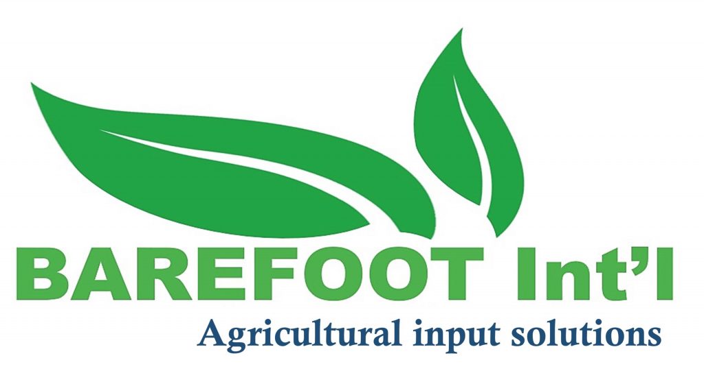 BareFoot International Ltd