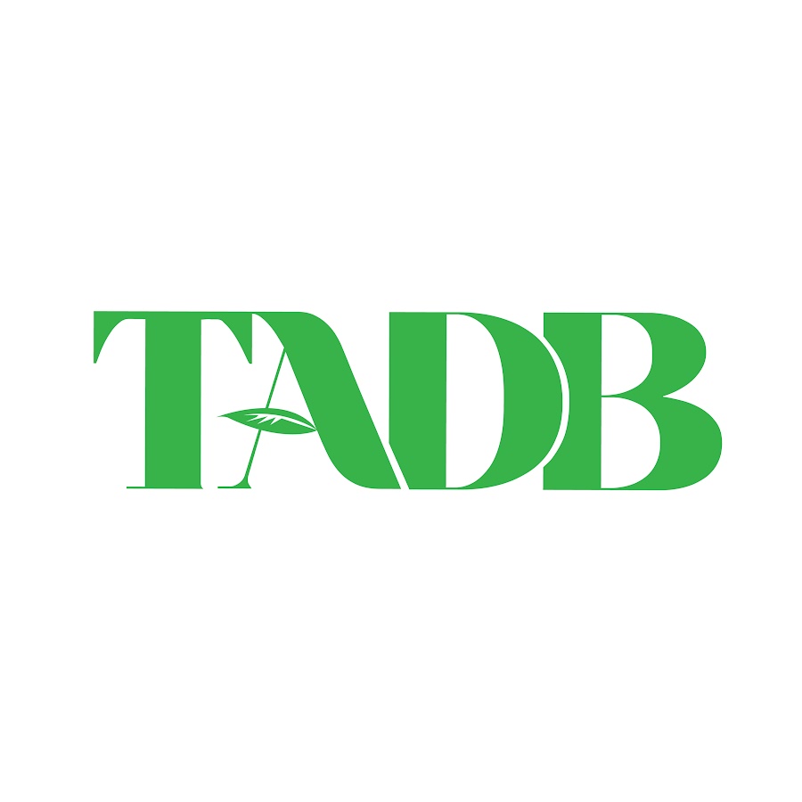 Finance Intern at TADB Tanzania