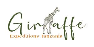 African Giraffe Expeditions