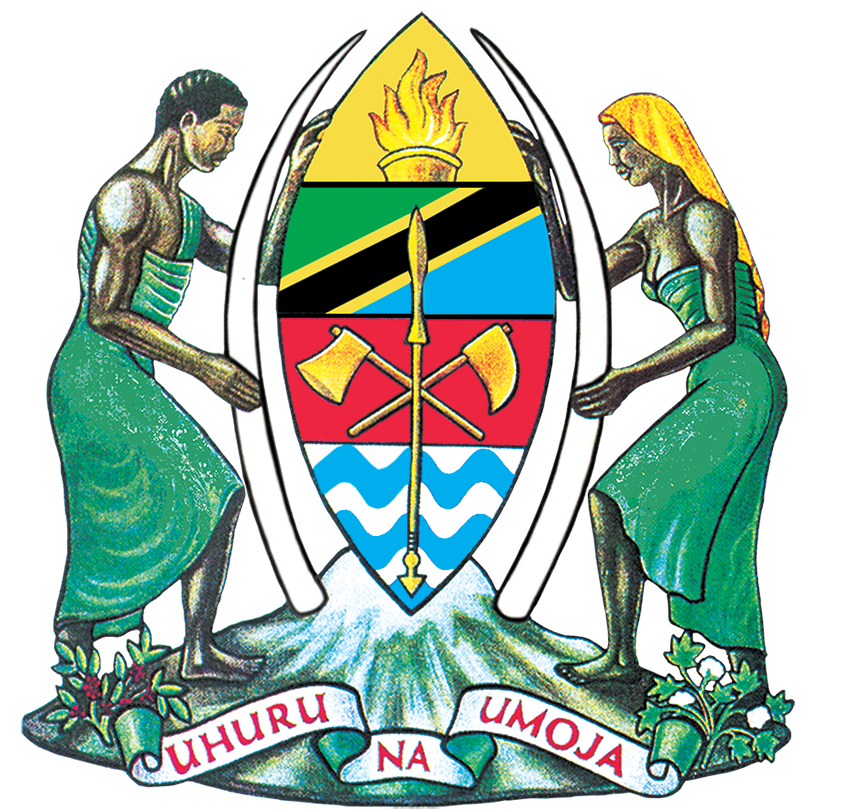 Application of Nursing and Midwifery Practicing License Portal