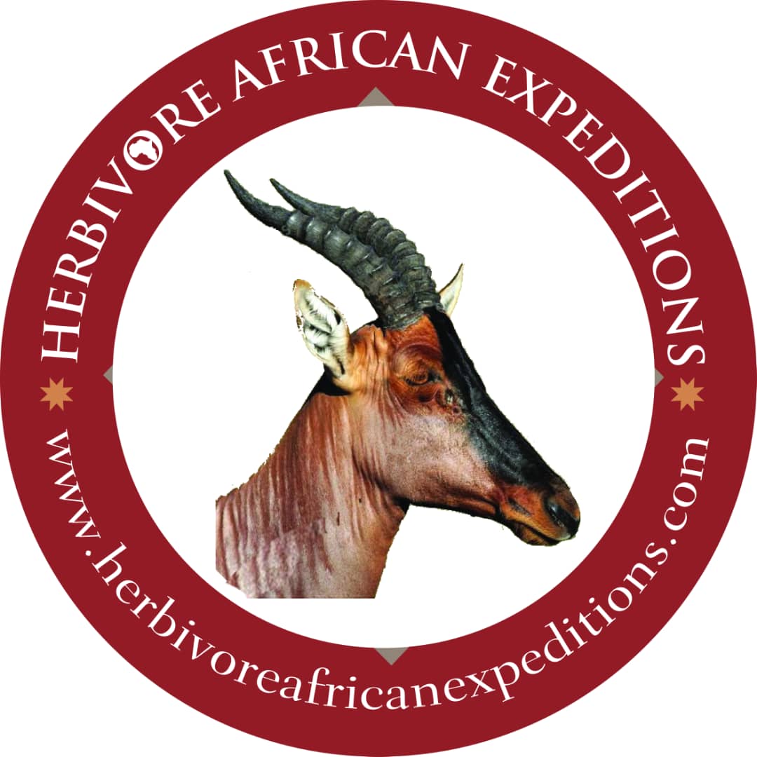Herbivore African Expeditions