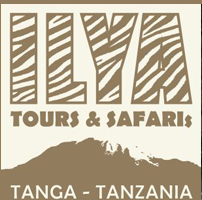 Ilya 2008 Trekking & Safaris