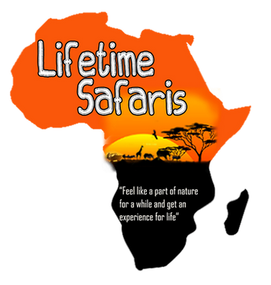 Life Time Safaris Company