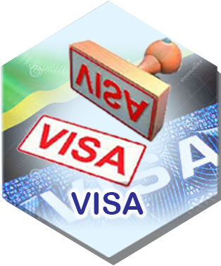 VISA Application Portal