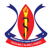Muhimbili National Hospital (MNH)