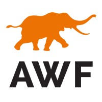 Environmental Education and Communication Expert at African Wildlife Foundation