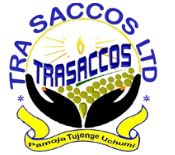 Computer Systems Analyst (Generalist) at TRA SACCOS