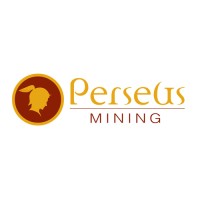 Mining Manager at Perseus Mining Limited Tanzania