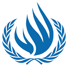2 Human Rights Job Opportunities at UN-OHCHR