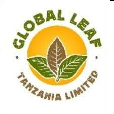 2 Job Opportunities at Global Leaf Tanzania