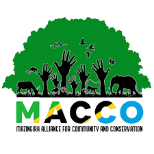 3 Job Opportunities at Mazingira Alliance for Community and Conservation (MACCO)