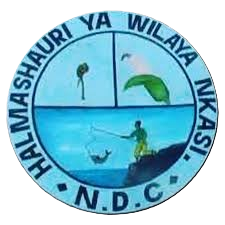 Nafasi za Kazi 5 Halmashauri ya Wilaya ya Nkasi