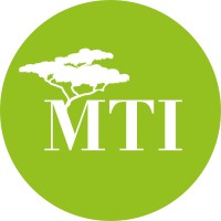 Business Analyst at MTI Investment