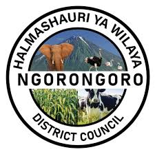 Ngorongoro District Council