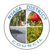 Nyasa District Council