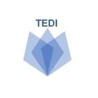 Tanzania Enlightenment Development Innovations (TEDI)