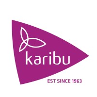 Software Developer at Karibu World