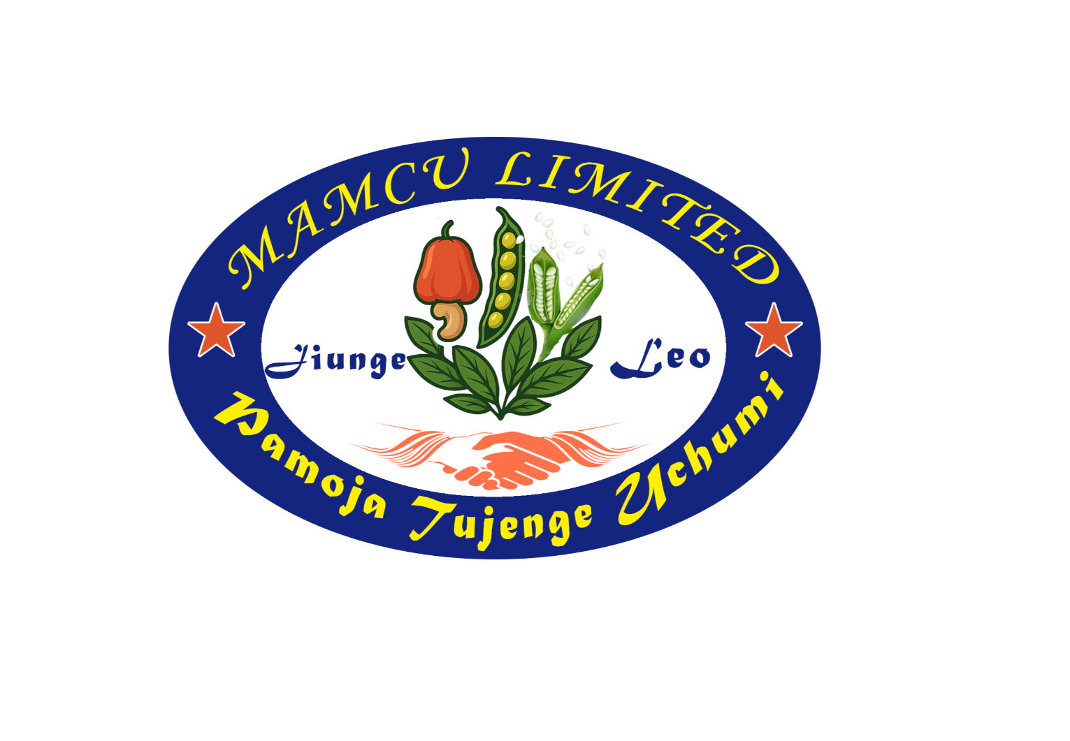 MAMCU LIMITED