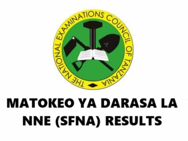 Matokeo ya Darasa la Nne 2024 to 2025 (SFNA) NECTA