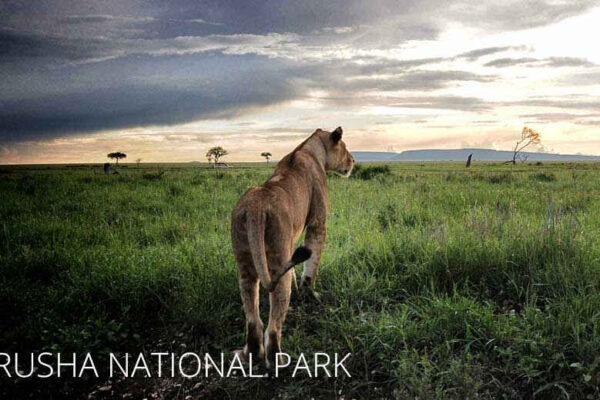 Arusha National Park: Facts, Features and More