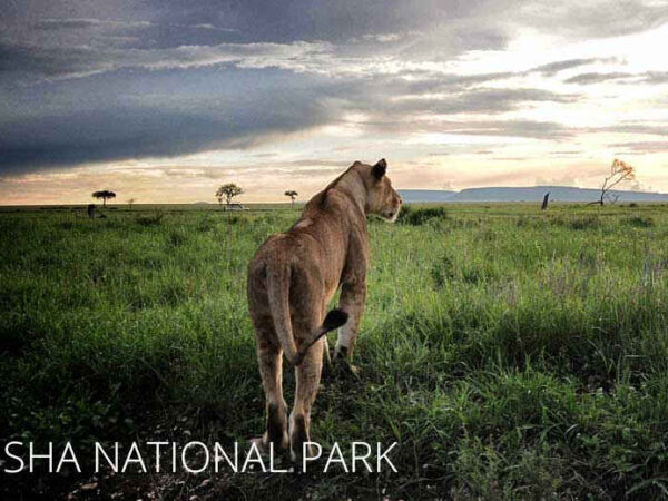 Arusha National Park: Facts, Features and More