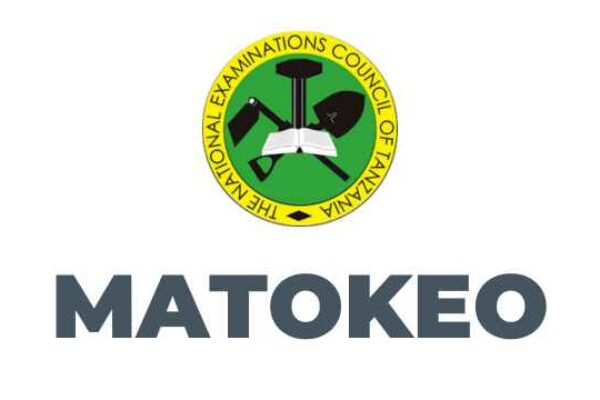 Matokeo ya Kidato Cha Sita 2025 (ACSEE Results)