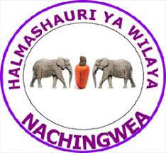 Nafasi za Kazi 15 Halmashauri ya Wilaya ya Nachingwea