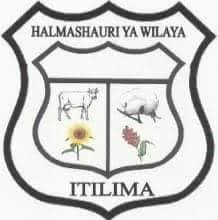 Nafasi za Kazi 18 Halmashauri ya Wilaya ya Itilima