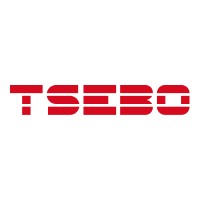 Procurement & Logistics Manager (Anglo Region) at Tsebo Tanzania