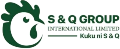 S&Q Group International Limited