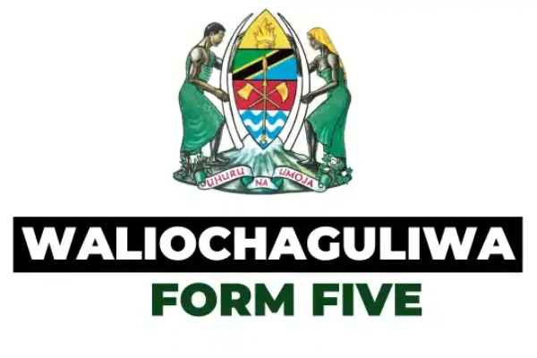 Majina Waliochaguliwa Kidato cha Tano 2026 (Form Five Selection)