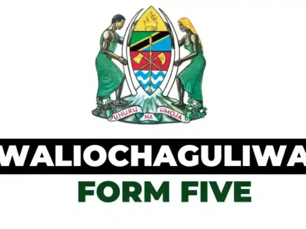 Majina Waliochaguliwa Kidato cha Tano 2026 (Form Five Selection)