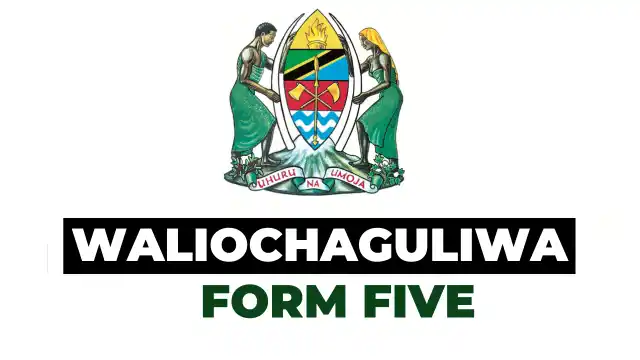 Majina Waliochaguliwa Kidato cha Tano 2026 (Form Five Selection)