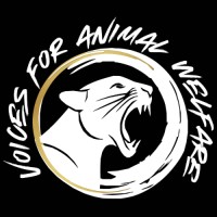 Project Coordinator at Voices for Animal Welfare