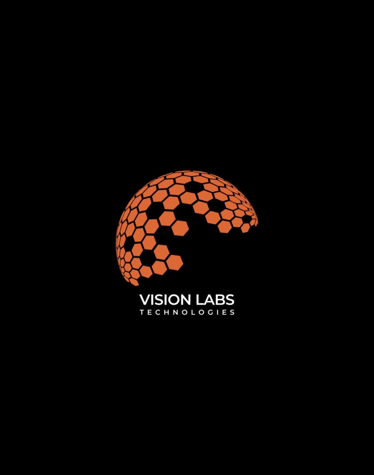 Business Development Representative at Vision Labs and Technologies